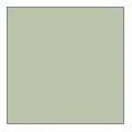 Tuscan olive 0.027
