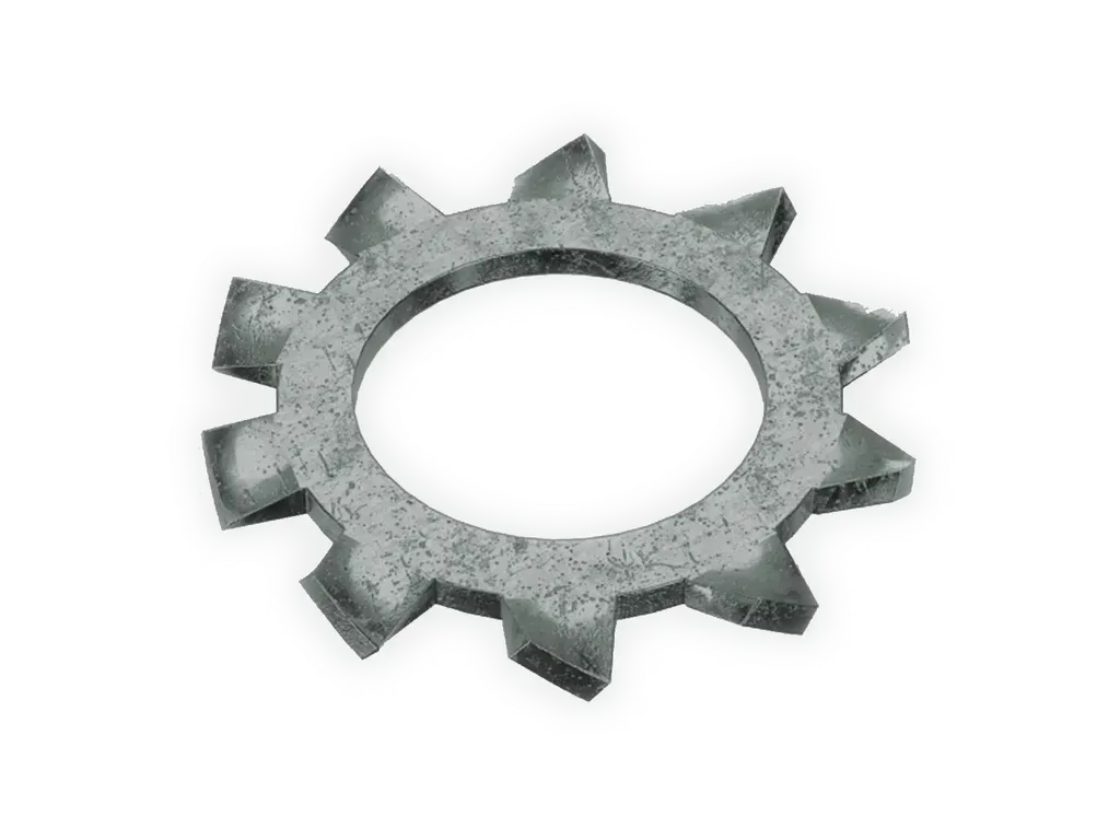[FASNR SS LOCK WASHER 1/4''] Lock Washer External Tooth 1/4 Stainless Steel